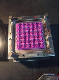 Изготовленная на заказ энергосберегающая машина инжекционного метода литья для пластиковой прессформы подноса яйца